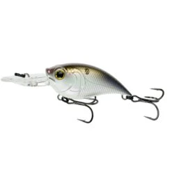 6Th Sense Curve 55 - 4K Shad