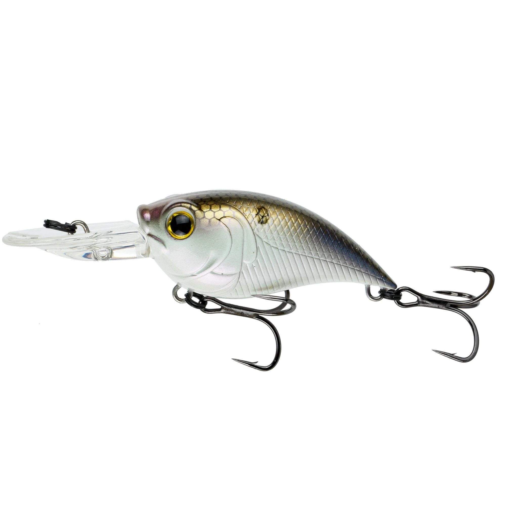 6Th Sense Curve 55 - 4K Shad