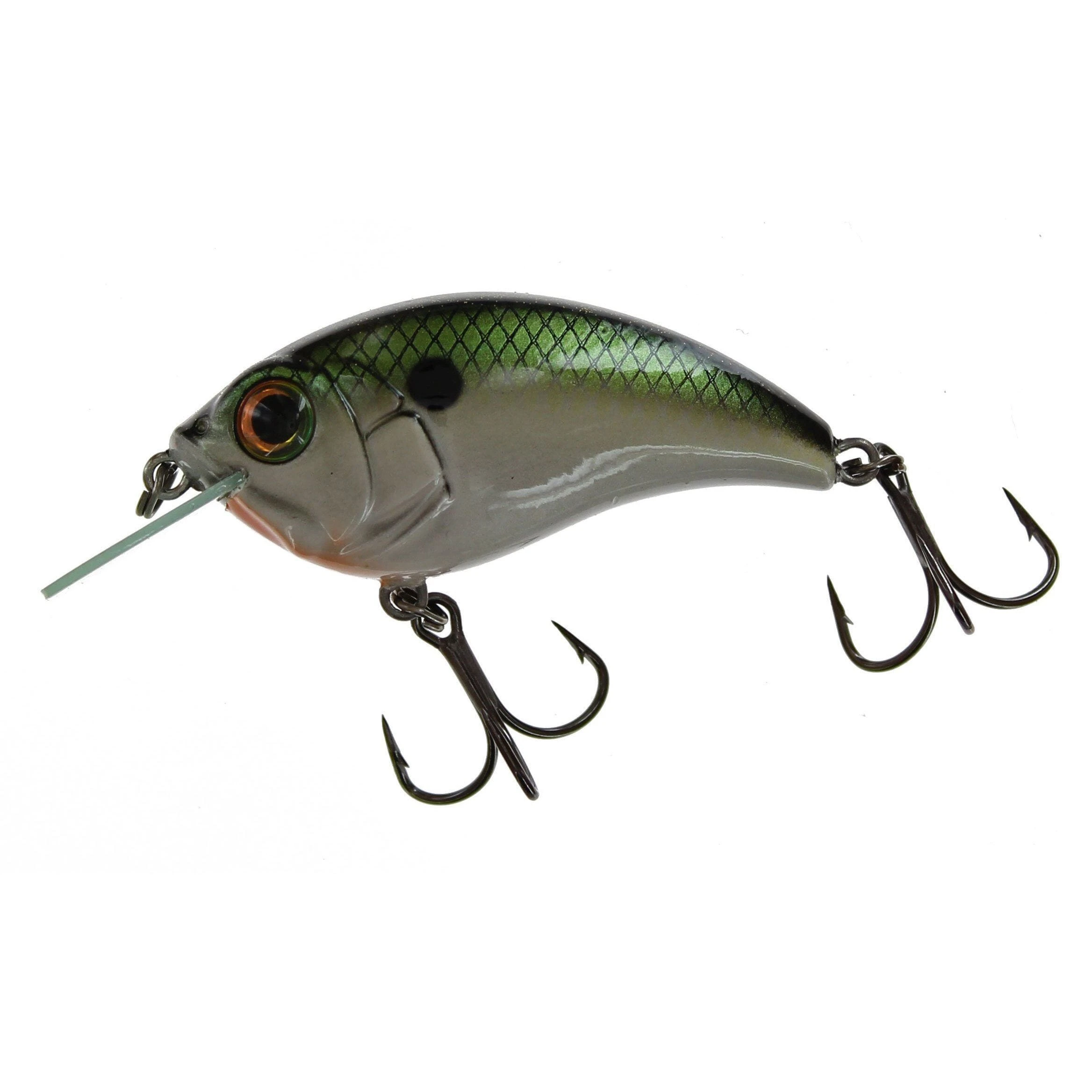 Bill Lewis Sb-57 Squarebill Crankbait Tennessee Shad 3 Bill Lewis Sb-57 Squarebill Crankbait Tennessee Shad