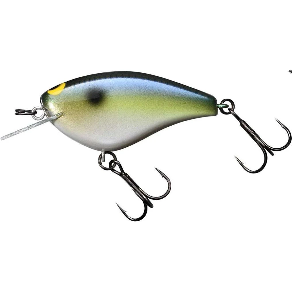 Jackall Bling 55 Flat-Sided Crankbait Sk Shad