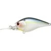 Lucky Craft Lc 1.5Dd Crankbait Pearl Threadfin Shad -129 Fishing Lucky Craft LC 1 5DD Crankbait Pearl Threadfin Shad