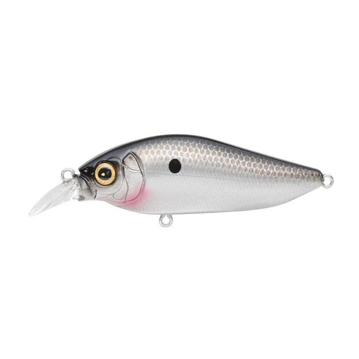 Megabass Flapslap Ozark Shad 3 Megabass Flapslap Ozark Shad
