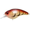 Megabass Sonicside Crankbait Tora Zari 1 Megabass Sonicside Crankbait Tora Zari -129 Fishing Megabass Sonicside Crankbait Tora Zari 7d977a3f 4503 40fb 947b 93b5a3ad161d