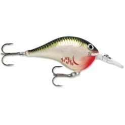Rapala Dt 06 Bleeding Olive Shiner