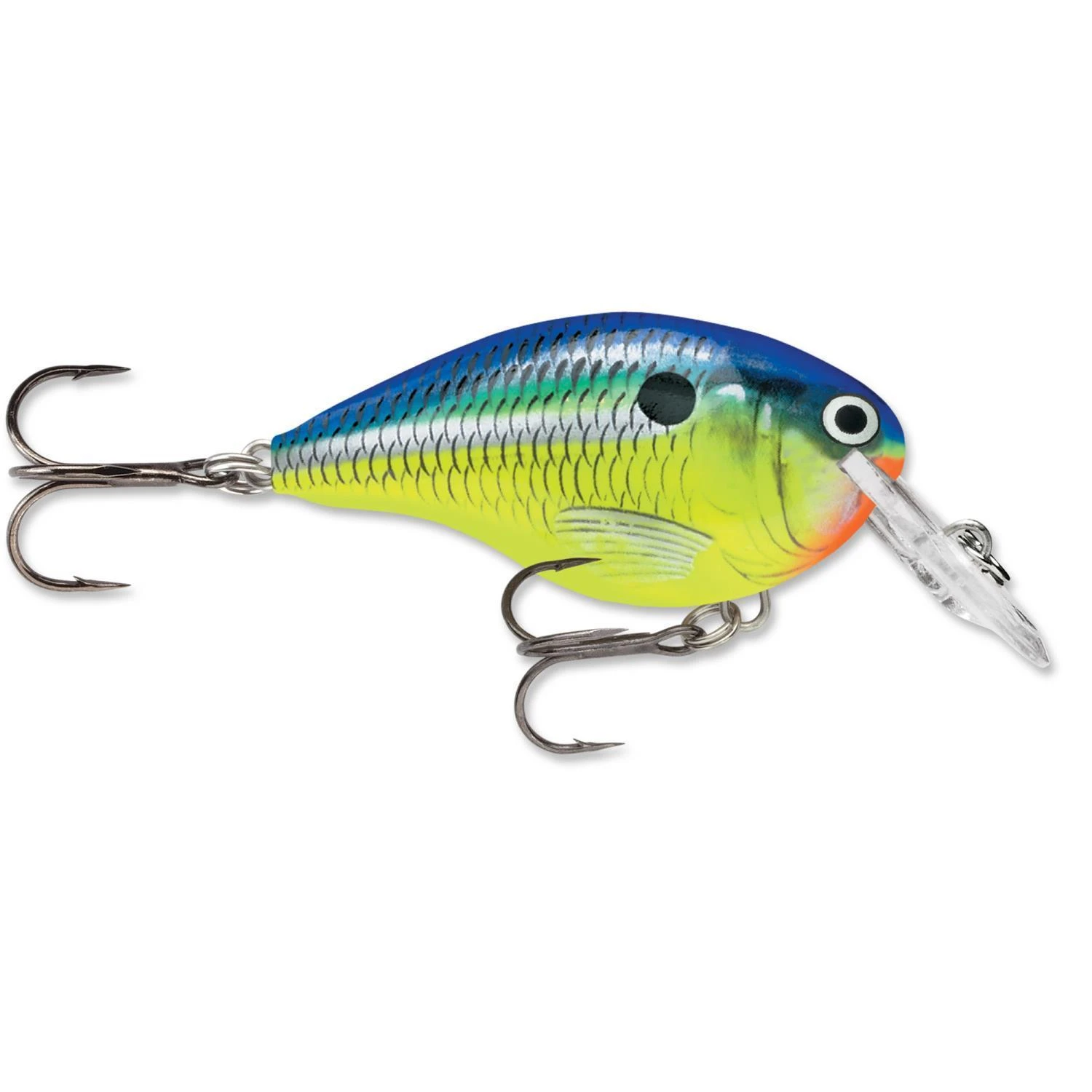 Rapala Dt 06 Parrot 3 Rapala Dt 06 Parrot