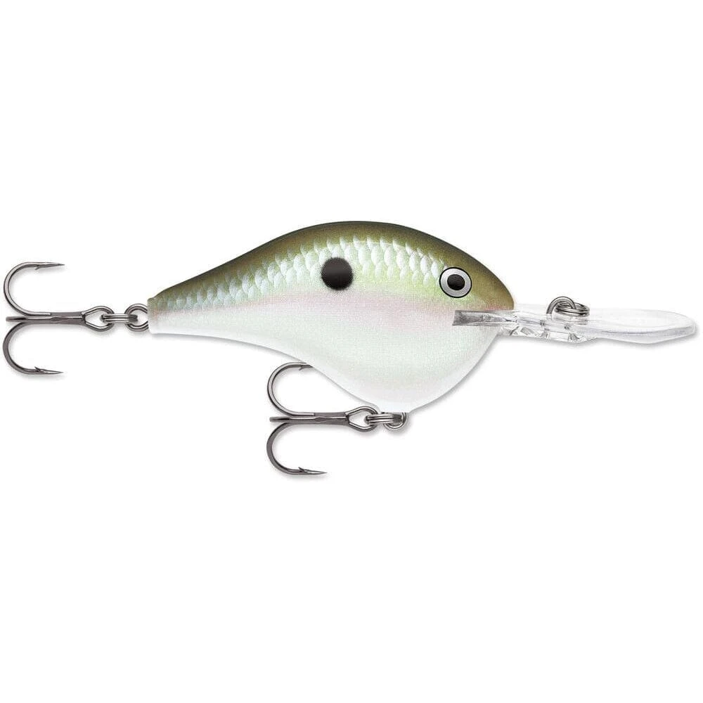 Rapala Dt 10 Green Gizzard Shad 3 Rapala Dt 10 Green Gizzard Shad