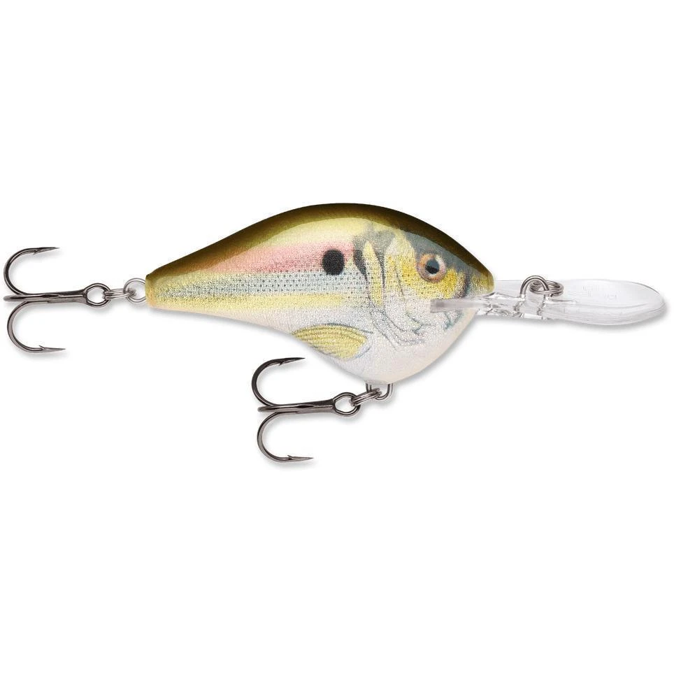 Rapala Dt 10 Live River Shad 3 Rapala Dt 10 Live River Shad