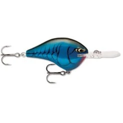 Rapala Dt 14 Bruised