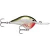 Rapala Dt 16 Bleeding Olive Shiner 1 Rapala Dt 16 Bleeding Olive Shiner -129 Fishing Rapala Dt 16 Bleeding Olive Shiner