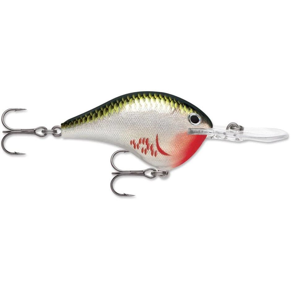 Rapala Dt 16 Bleeding Olive Shiner 3 Rapala Dt 16 Bleeding Olive Shiner