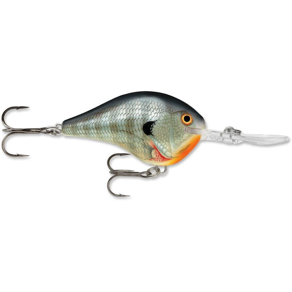 Rapala Dt 16 Bluegill 3 Rapala Dt 16 Bluegill
