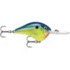 Rapala Dt 16 Parrot 1 Rapala Dt 16 Parrot -129 Fishing Rapala Dt 16 Parrot