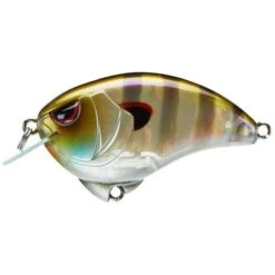 SPRO Outsider Crank SR 55 Rainbow Gill