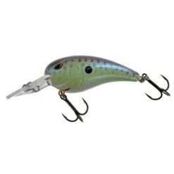 Spro Rock Crawler Md 55 Cell Mate